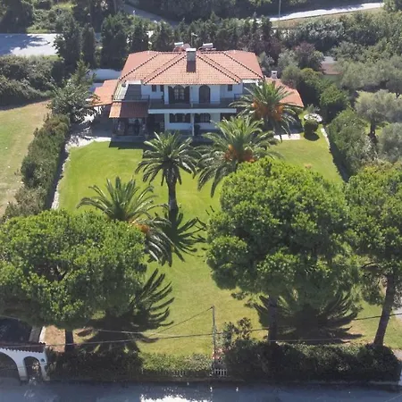 Delta 2 - Steps To And Mamalouka Blue Carpet Villa Hanioti